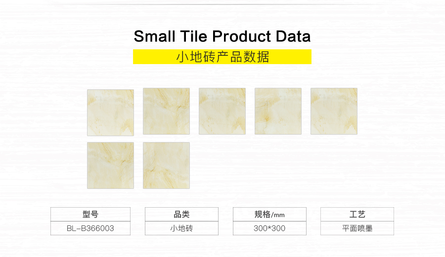 衛(wèi)生間內(nèi)墻磚 金斯敦